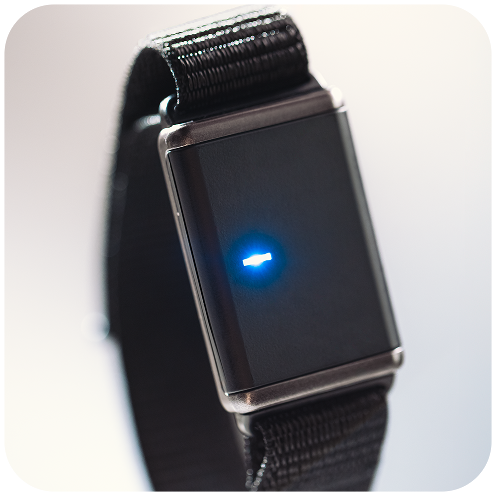 E4L GEM wearable
